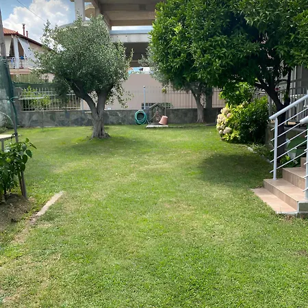 Chrysa ليبتوكاريا